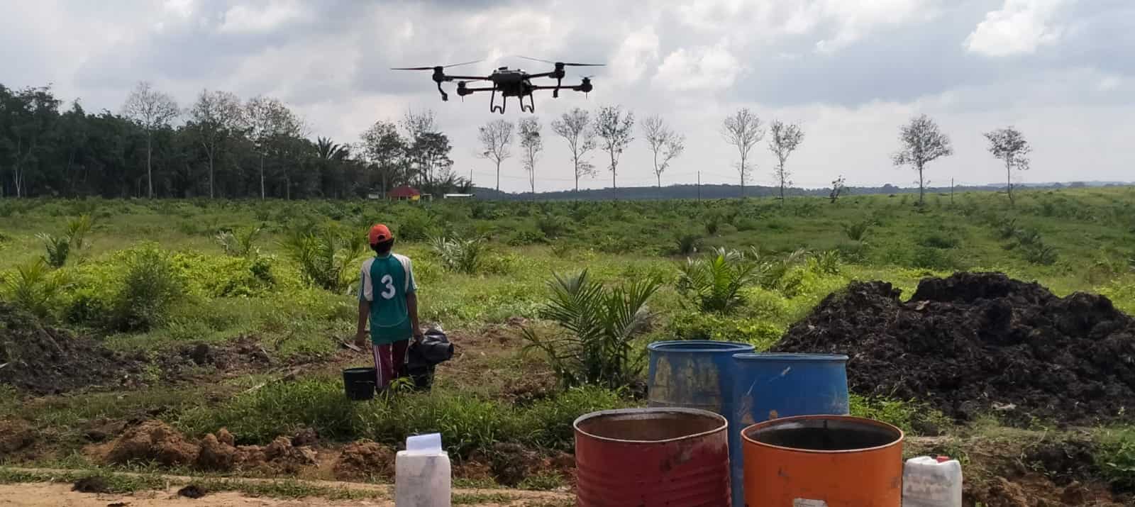 SAG plantation operations